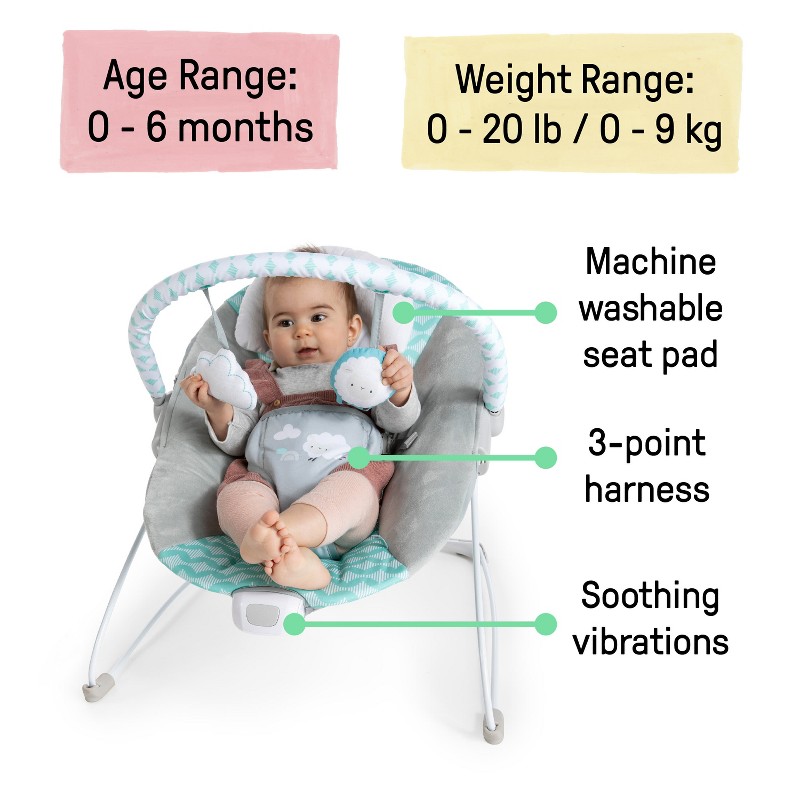 Bouncity Bounce Vibrating Deluxe Baby Bouncer